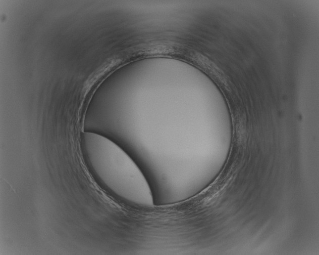 X0000074340721200608251044