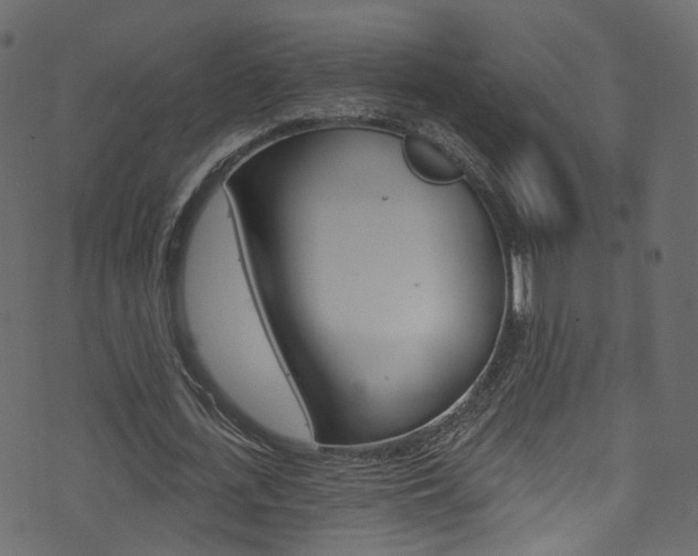 X0000074340723200608251044