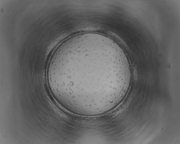 X0000074340725200608251044