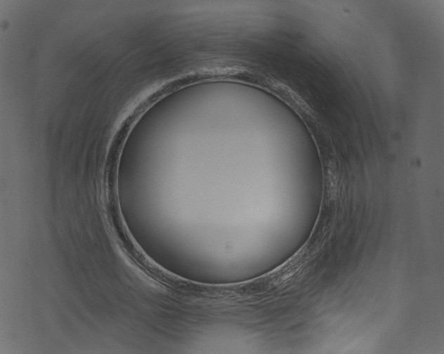 X0000074340726200608251044