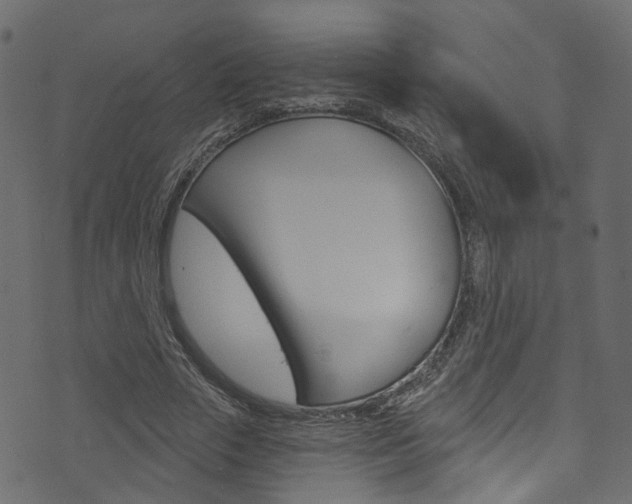 X0000074340729200608251044