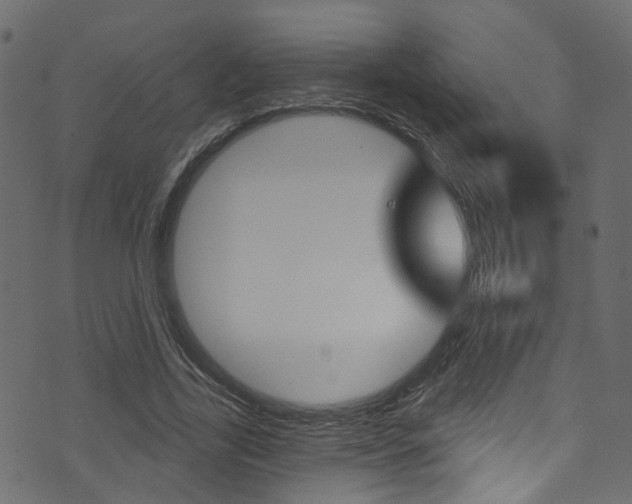 X0000074340731200608251044