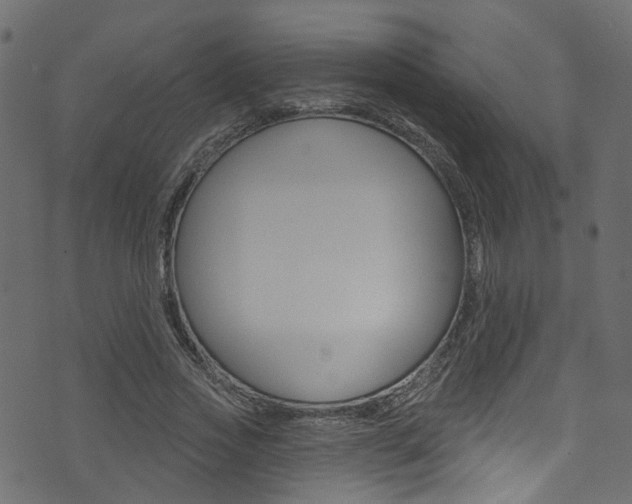 X0000074340733200608251045