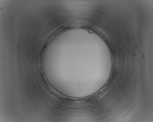 X0000074340737200608251045