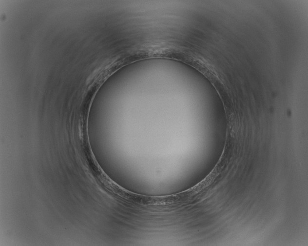 X0000074340740200608251045