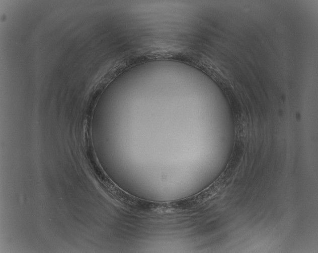 X0000074340742200608251045