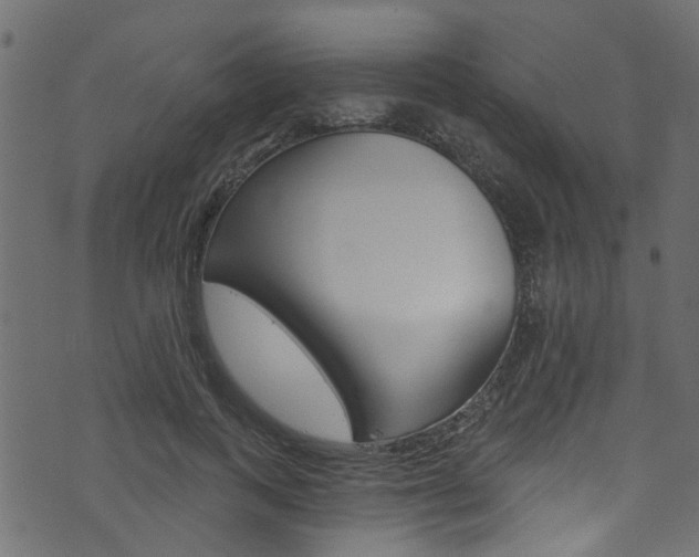 X0000074340743200608251045