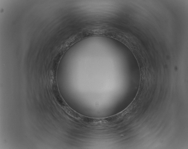 X0000074340752200608251045