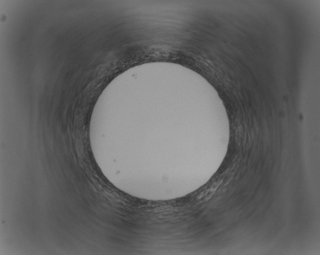 X0000074340769200608251044