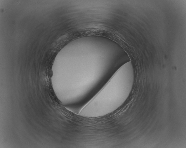 X0000074340771200608251044