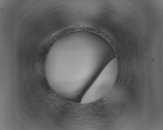 X0000074340773200608251044