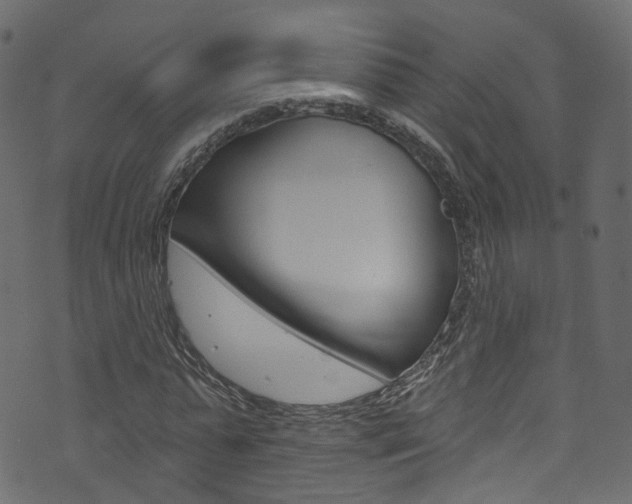X0000074340775200608251044