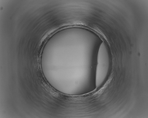 X0000074340781200608251044