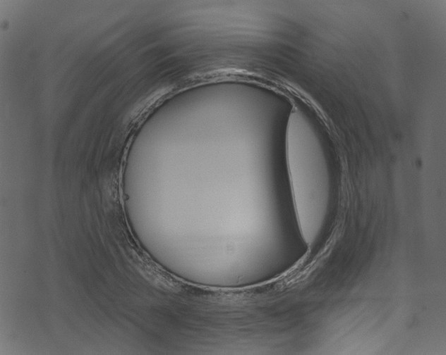 X0000074340785200608251044