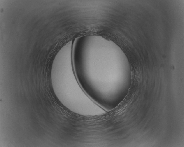 X0000074340818200608251043