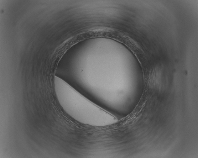 X0000074340821200608251043