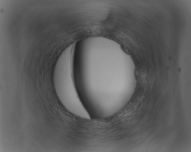 X0000074340865200608251043