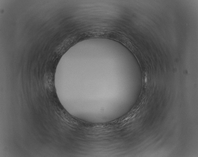 X0000074340867200608251043