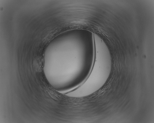 X0000074340868200608251043