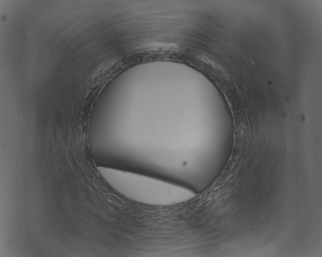 X0000074340869200608251043