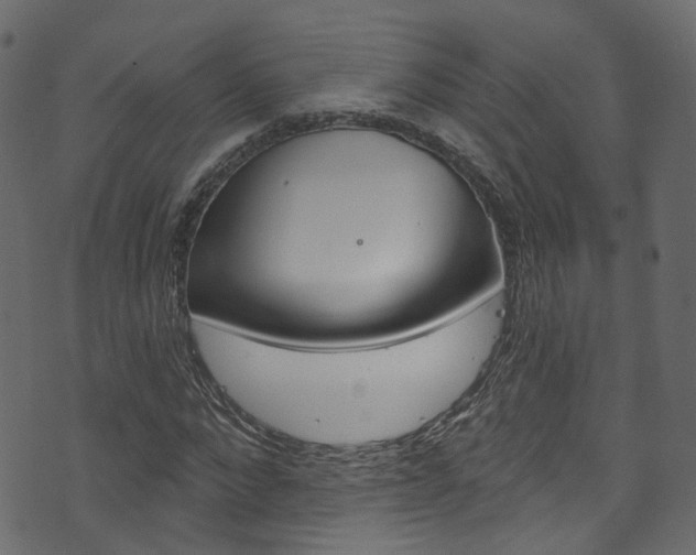 X0000074340872200608251043