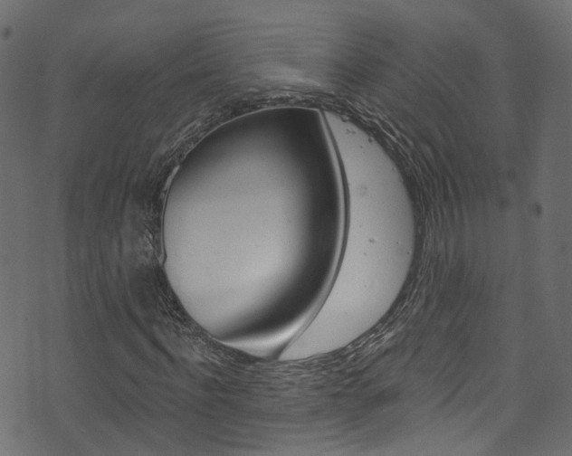 X0000074340916200608251041