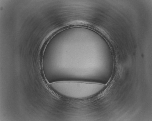 X0000074340931200608251041