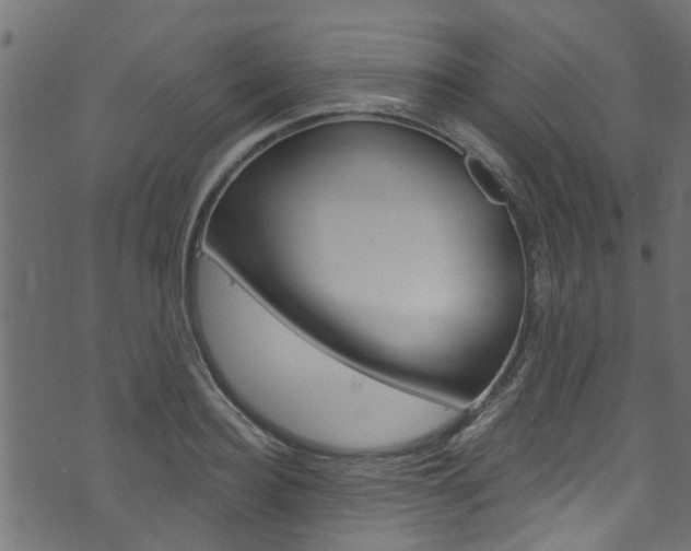 X0000074340940200608251042