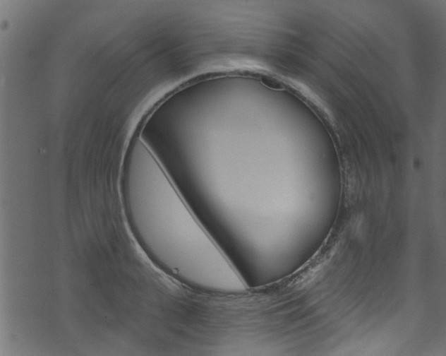 X0000074340943200608251042