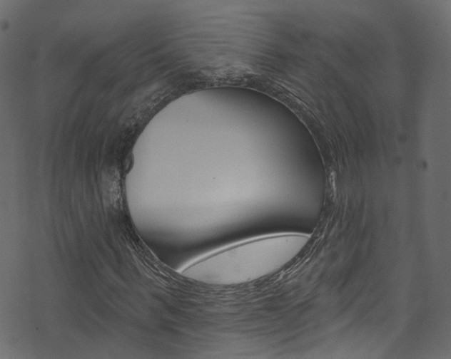 X0000074340963200608251041