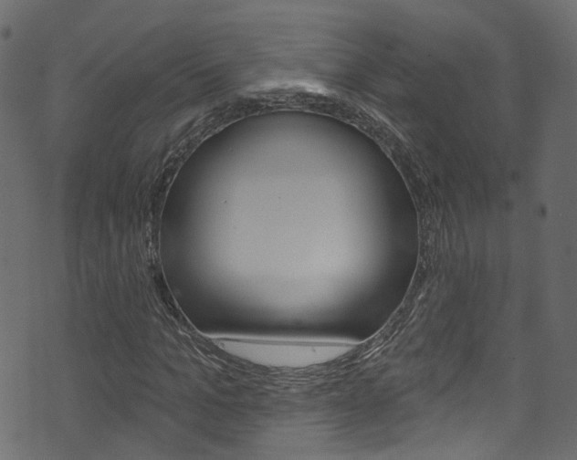 X0000074340965200608251041
