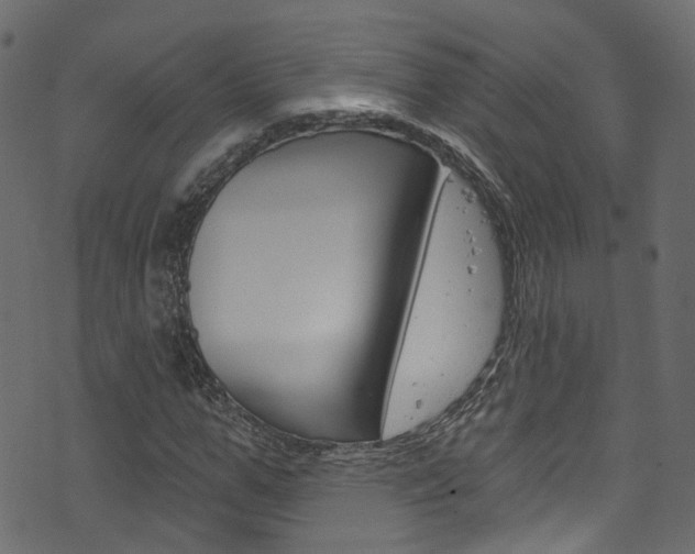 X0000074340967200608251041