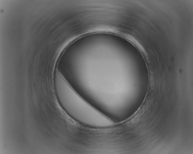 X0000074340996200608251041