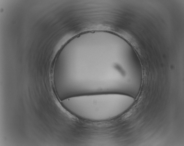 X0000074340998200608251041