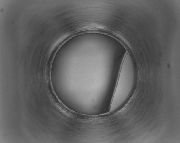 X0000074341026200608251040