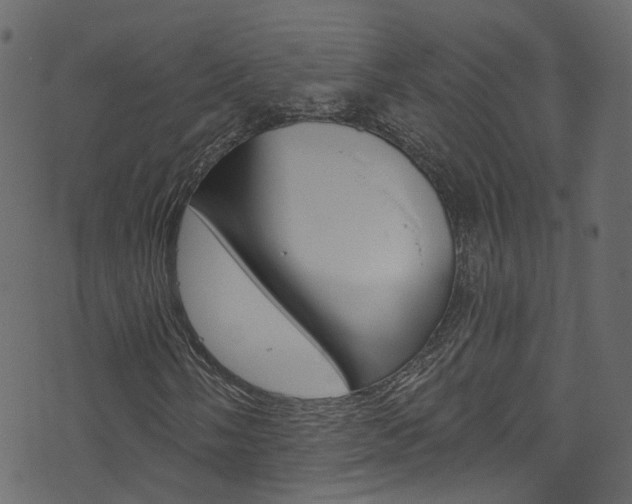 X0000074341058200608251040