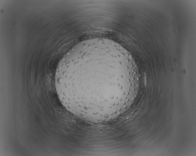 X0000074341059200608251040