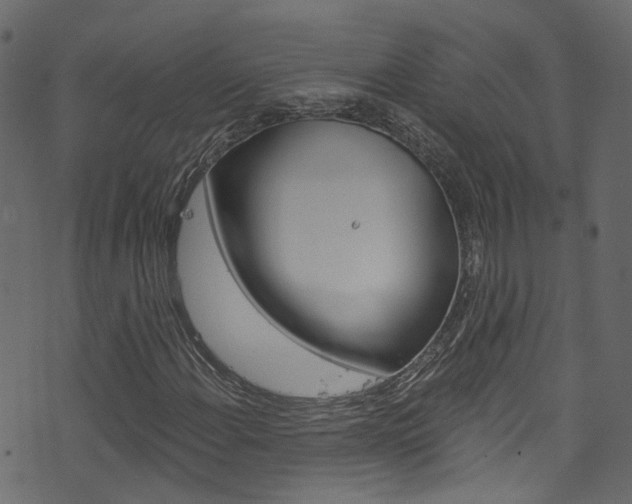 X0000074341108200608251038
