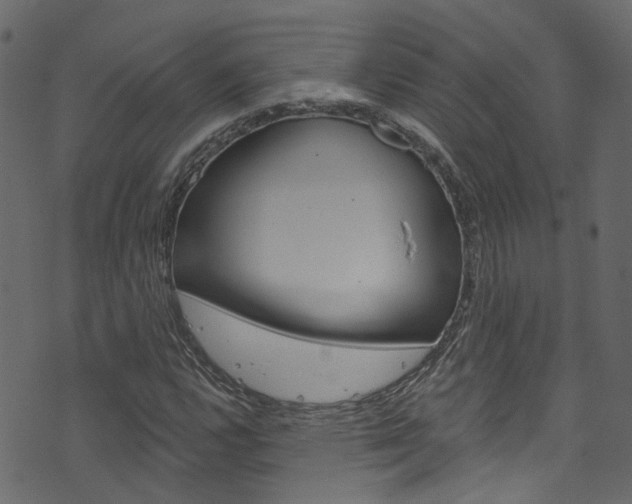 X0000074341112200608251038