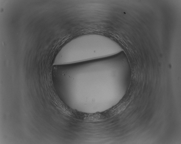 X0000074341201200608251036