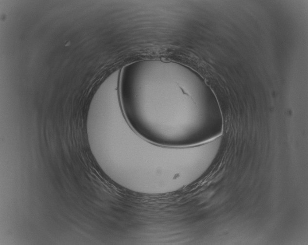 X0000074341202200608251036