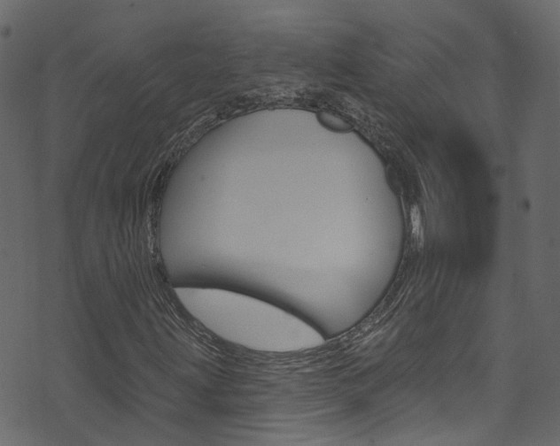 X0000074341203200608251036