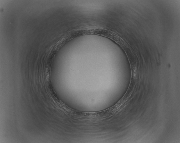 X0000074341204200608251036