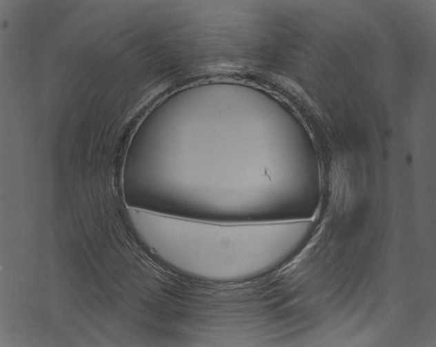 X0000074341209200608251037