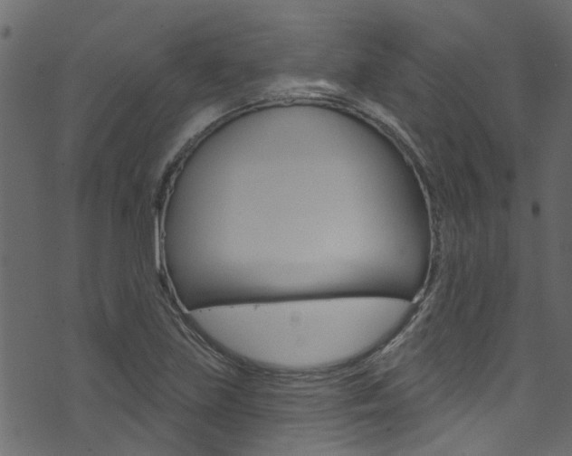 X0000074341219200608251037