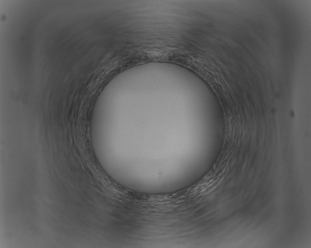 X0000074341249200608251036