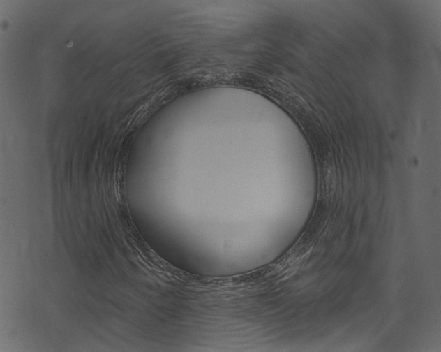 X0000074341250200608251036