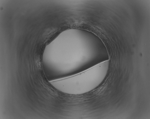 X0000074341252200608251036