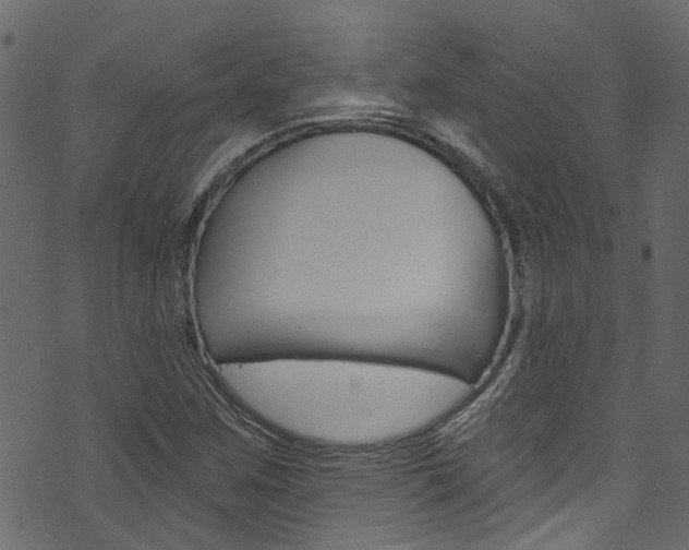 X0000074341259200608251036