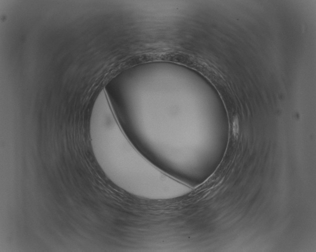 X0000074341299200608251035